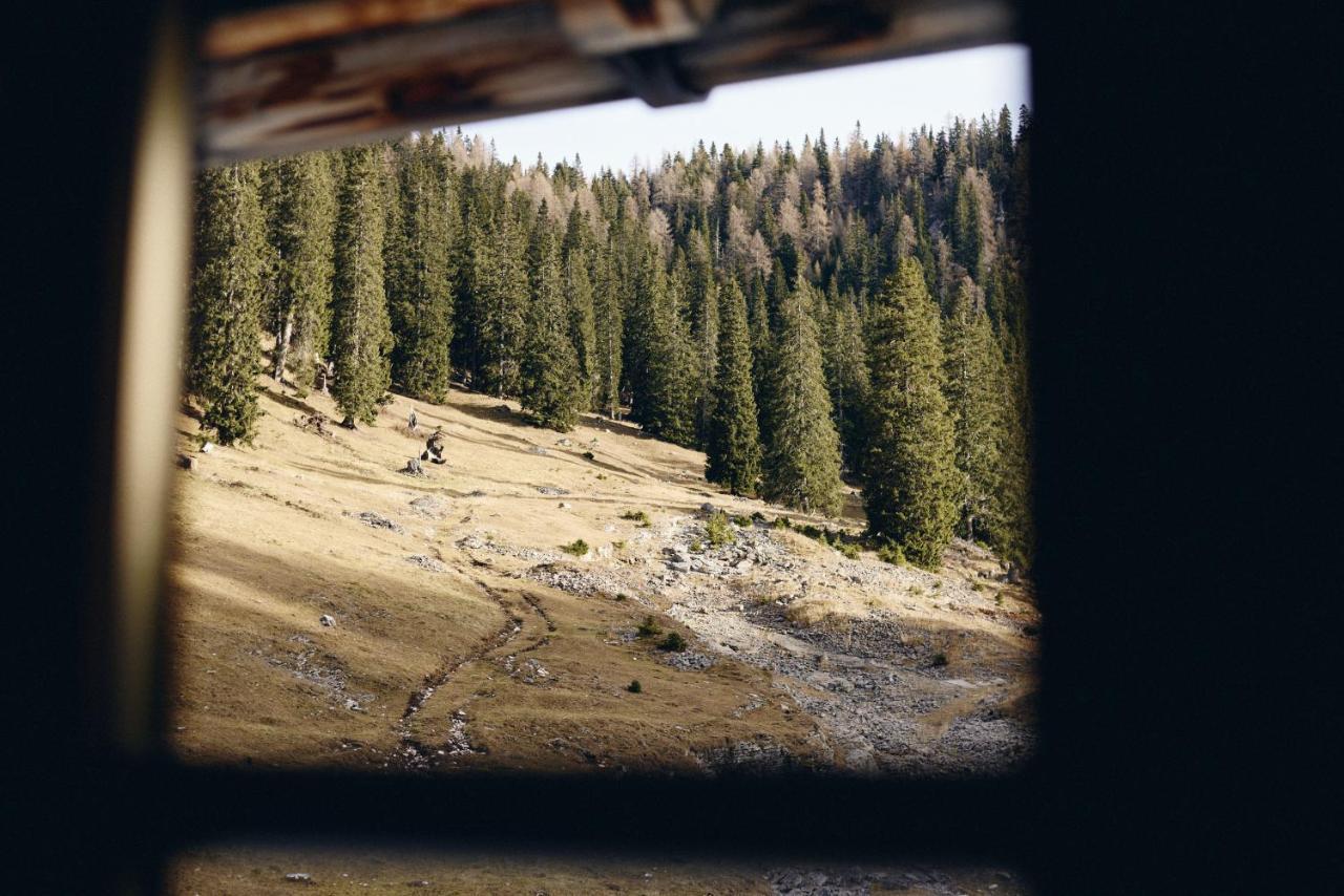 Villa Rifugio Malga Ra Stua Cortina d'Ampezzo Exterior foto