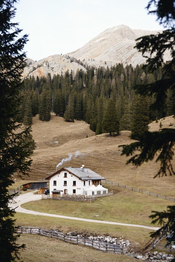 Villa Rifugio Malga Ra Stua Cortina d'Ampezzo Exterior foto