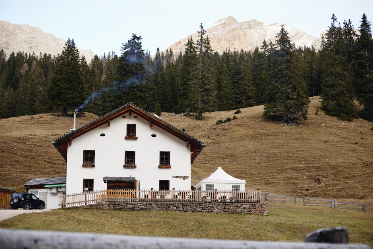 Villa Rifugio Malga Ra Stua Cortina d'Ampezzo Exterior foto