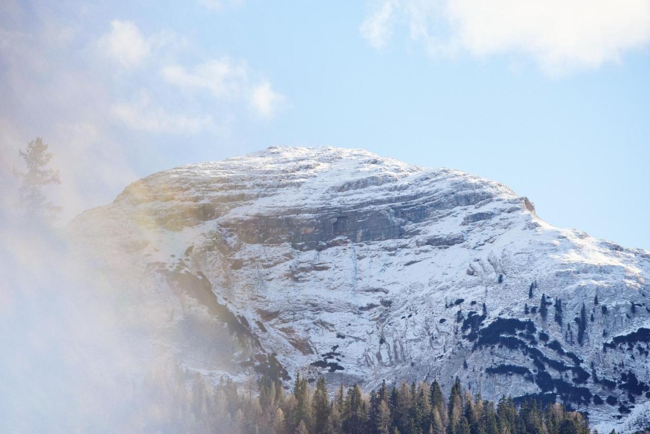 Villa Rifugio Malga Ra Stua Cortina d'Ampezzo Exterior foto